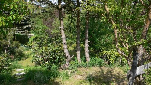 a wooden bench in a forest of trees at 3 Sterne Ferienwohnungen Wachter in Bischofsgrün