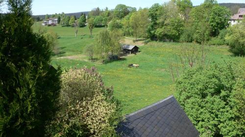 a view of a field with a cow in the grass at 3 Sterne Ferienwohnungen Wachter in Bischofsgrün