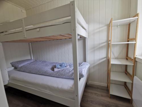 a bedroom with two bunk beds and a ladder at Waterfront Senja 3 in Torsken