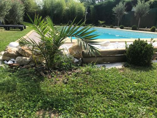 a palm tree next to a swimming pool at LA VILLA BOLERO in Saint-Cyr-sur-Loire