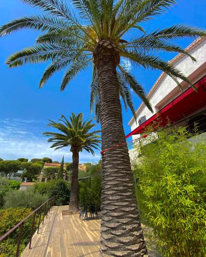 two palm trees in front of a building at THE ADDRESS CASSIS in Cassis