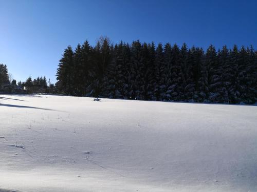 Pumphut's Scheune Ferienwohnungen Nr 5 - 9 Nähe Freizeitpark Plohn v zimě