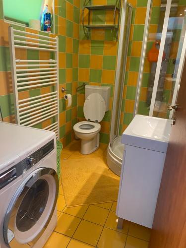 a bathroom with a toilet and a washing machine at Villa Malnar in Vrh