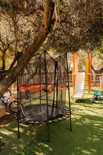 a trampoline is tied to a tree in a park at Anemousa Studios in Otzias