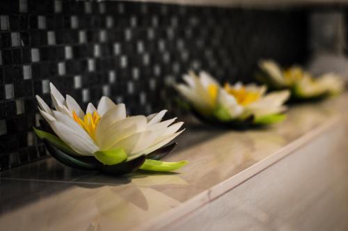 three white and yellow flowers sitting on a counter at Baross Boutique Apartman in Győr