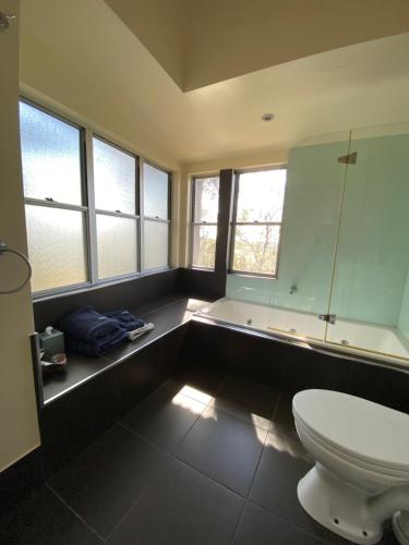 a bathroom with a toilet and a shower with windows at Redrock Retreat in Kingaroy