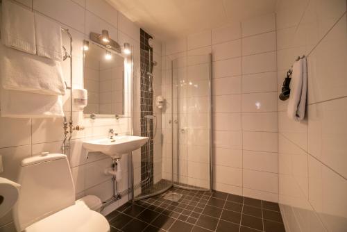 een badkamer met een toilet, een wastafel en een douche bij Simloc Hotel Drottninggatan in Arjeplog