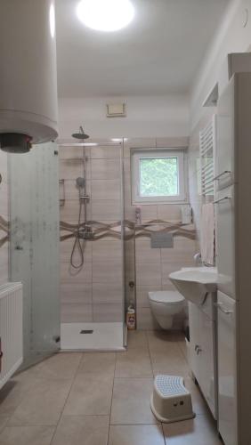 a bathroom with a shower and a toilet and a sink at Liget nyaralóház in Balatonföldvár