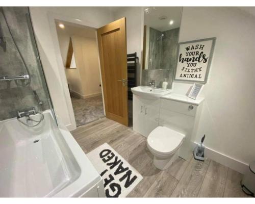 a bathroom with a toilet and a sink and a mirror at Crows Nest in Par