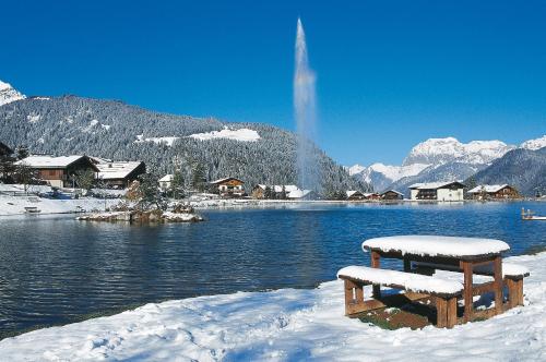 Les Freinets - Apt C101 - BO Immobilier - Reduced prices on ski passes Châtel & Portes du Soleil