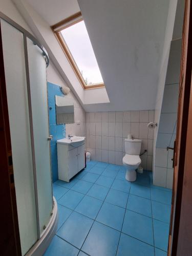 a bathroom with a toilet and a sink and a skylight at Penzion U Farmáře in Chotoviny