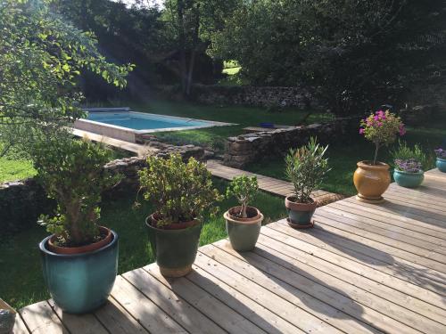 a group of potted plants sitting on a wooden deck at La Terralha in Saint-Pierre-Toirac