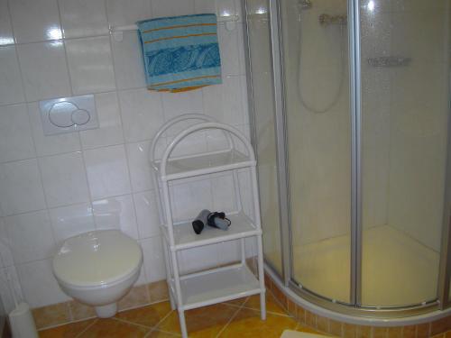 a bathroom with a shower and a toilet and a sink at Appartement Pichler in Radstadt