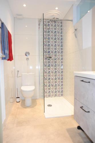 a bathroom with a toilet and a glass shower at Claar Ferienwohnung Lindau Bodensee in Lindau