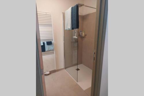 Łazienka z kabiną prysznicową i szklanymi drzwiami w obiekcie Vakantiehuis Hagegoud: erop uit in het Hageland w mieście Geetbets