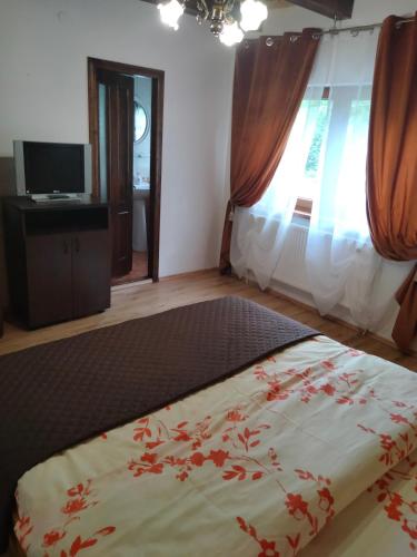 a bedroom with a large bed and a window at Dor de Munte Transfăgarasan in Cîrţişoara