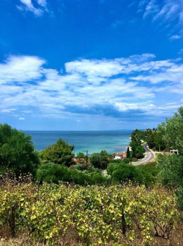 Gallery image of Ambelos Village Seaview and Pool Villas in Neos Marmaras