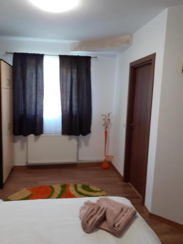 Gallery image of PENSIUNEA ROMINVEST in Borşa