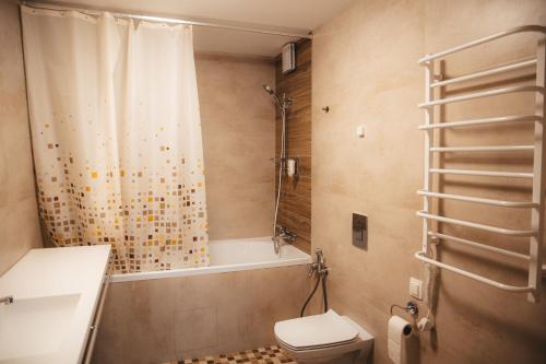 a bathroom with a toilet and a shower curtain at Гостевой дом SUN TAG in Chornomors'ke