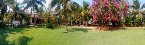 een groene tuin met palmbomen en een gebouw bij 6bhk Rexo Villa Alibaug in Alibaug