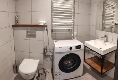 a bathroom with a washing machine and a sink at Chalet Venterivka in Tatariv