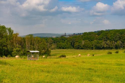 a field with a gazebo in the middle of a field at Maison Andree in Fresnes-sur-Apance