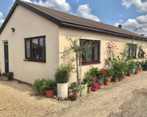a house with potted plants in front of it at Stone Cottage in Nazeing