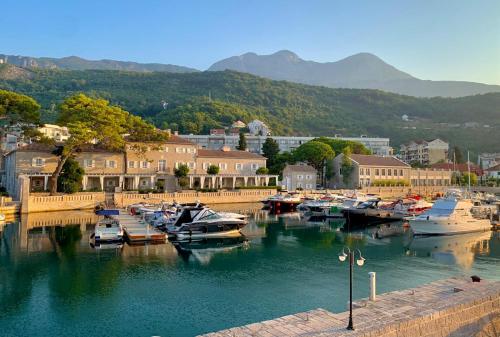 a bunch of boats are docked in a harbor at Lazure Hotel & Marina in Herceg-Novi