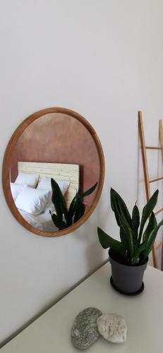 a mirror on a wall above a table with a plant at PAMIŠKĖ BOUTIQUE SPA in Jokūbavas