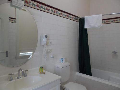 a bathroom with a toilet and a sink and a mirror at Palais Royale in Katoomba