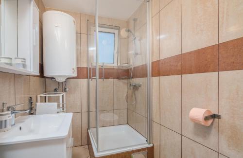 łazienka z prysznicem i umywalką w obiekcie Apartment Dragica Čižići w mieście Čižići