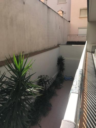 einen Balkon mit Pflanzen an der Seite eines Gebäudes in der Unterkunft Studio plage in Canet-en-Roussillon
