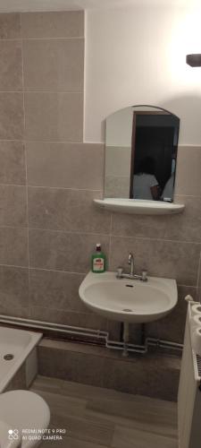 a bathroom with a sink and a mirror and a toilet at Apartament in Turda