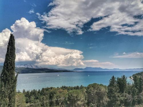 a view of a body of water with a tree at Ionian Grand Villas - Villa Estella in Lygia