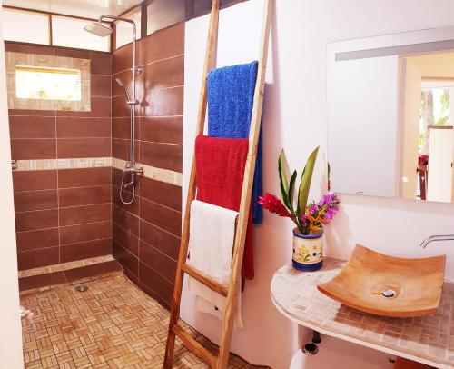 a bathroom with a shower and a ladder with towels at Manta Lodge avec 4x4 Pleine nature in Haapu