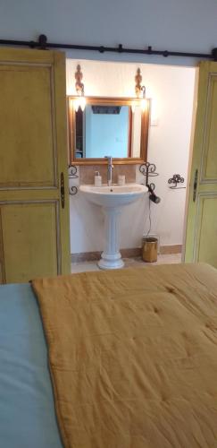 a bathroom with a sink and a white sink at LE PETIT JARDIN ... in LʼIsle-sur-la-Sorgue