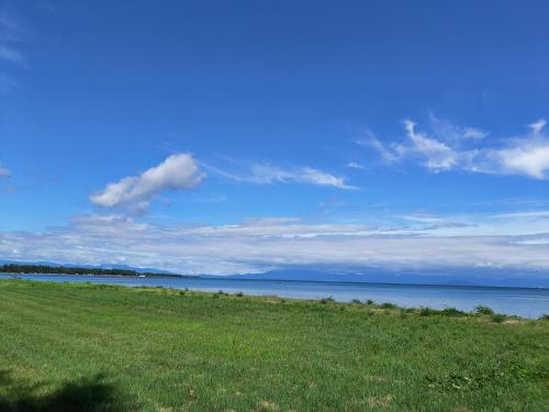 a grassy field next to a body of water at 臨湖荘 in Takashima