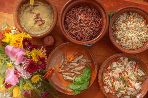 quatro tigelas de comida e flores numa mesa em Glamping Octli - Santuario de las Luciernagas X NANTLI LIVING em Nanacamilpa