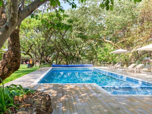 una piscina en un patio con árboles en Hotel Amate del Rio, en Malinalco