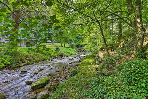 Φωτογραφία από το άλμπουμ του Charming Roan Mtn Cabin Across from Creek! σε Roan Mountain