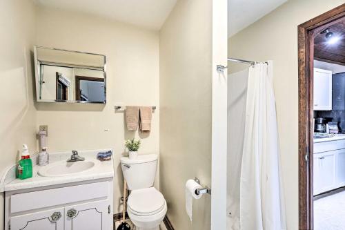 Un baño con inodoro, lavabo y espejo. en Charming Roan Mtn Cabin Across from Creek!, en Roan Mountain