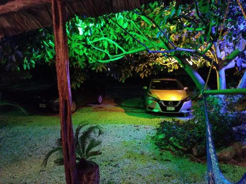 Hotelito Kuyche – Photos 2