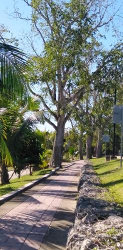 Hotelito Kuyche – Photos 3
