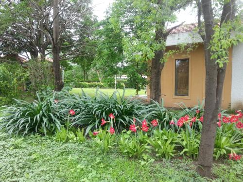 a garden with pink flowers in front of a house at The Meadows Resort and Spa in Aurangabad