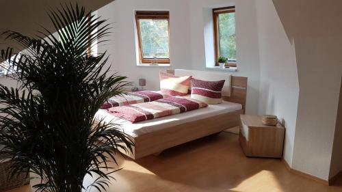 a couch in a living room with a plant at Ferienwohnung Bernsteinsucher städtische Bestlage in Ribnitz-Damgarten