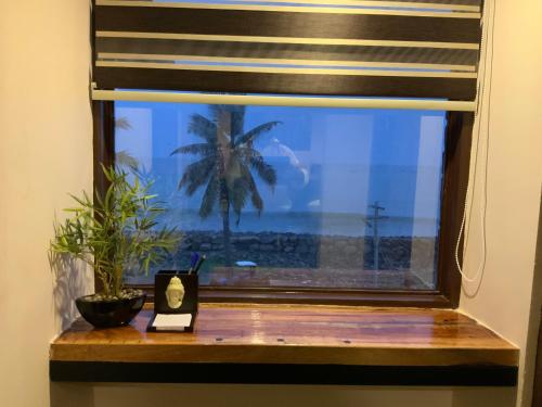 a window with a view of a palm tree at Mermaid Island Beach Resorts in Puducherry
