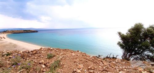 a beach with a tree on top of a hill at Ktima Argiri in Ormos Panagias