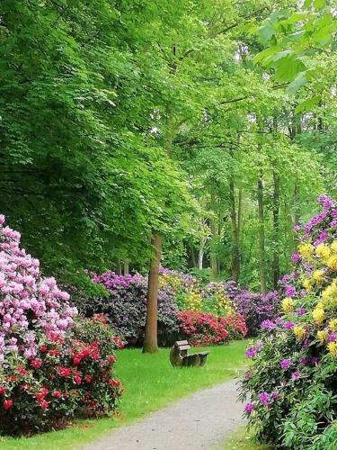 a park with a bench in the middle of flowers at Haus Wegener in Bad Sassendorf