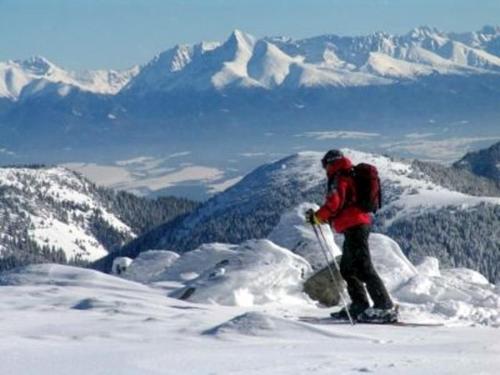a man standing on top of a snow covered mountain at Romantická chalupa pod Vysokými Tatrami in Liptovský Hrádok