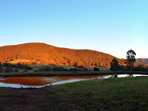 a pond in a field with a mountain in the background at La Sila Homestead on Marrowbone in Mount View